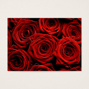 Rote Rosen Wegweiser