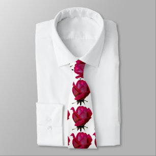 Rote Rosen weiß Krawatte