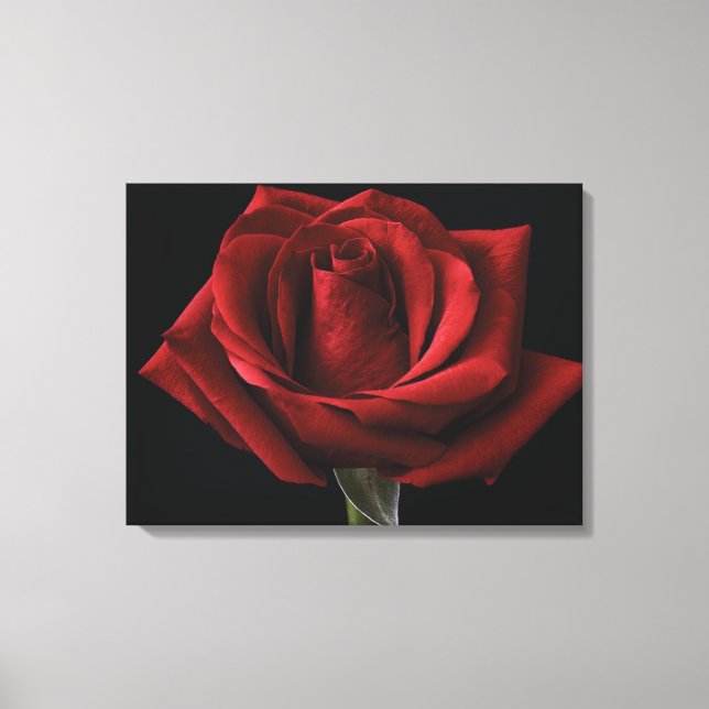Rote Rosen-Wurfkissen Leinwanddruck (Vorderseite)