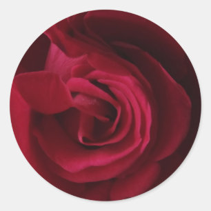 Rote Rosenaufkleber Runder Aufkleber