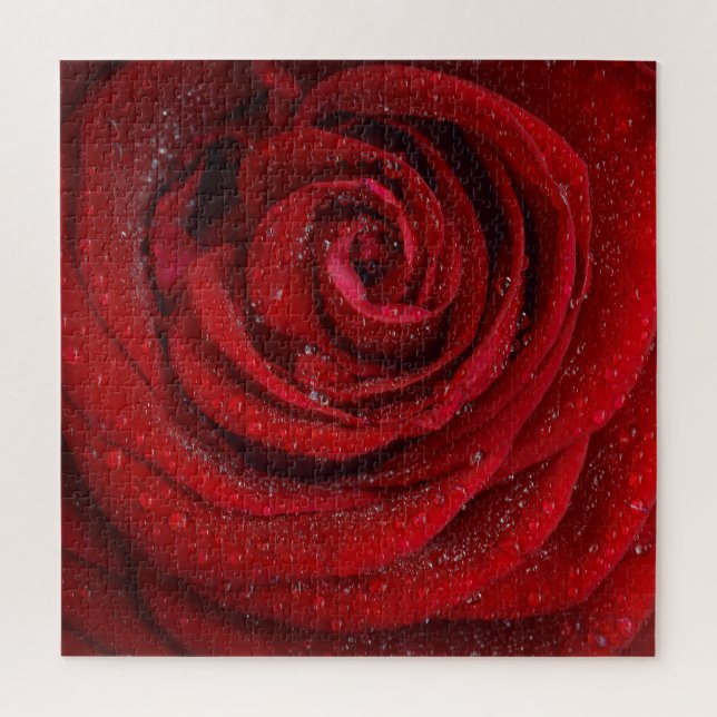 Rote Rosenblume (Vertikal)
