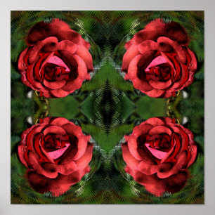 Rote Rosenblume in voller Blüte Abstrakte Kunst  Poster