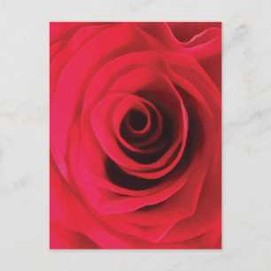 Rote Rosenknospe abstrakter floraler Wirbel Postkarte