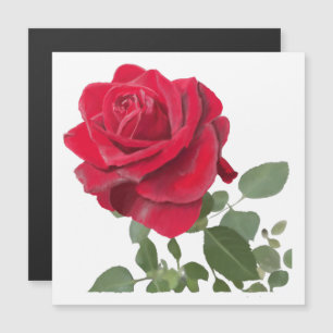 Rote Rosenmalerei Magnetkarte