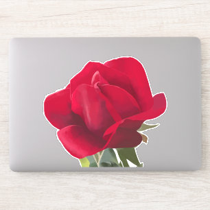 Rote Rosenquadrat - Rote Rose  Aufkleber