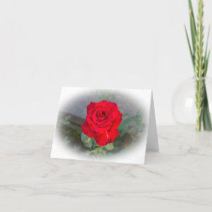 Rote Rote Rose Karte