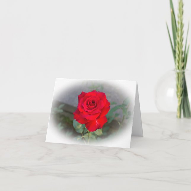 Rote Rote Rose Karte (Vorderseite)