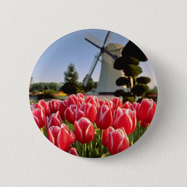 Rote rote Tulpen und Windmühlen-Blumen Button (Vorderseite)