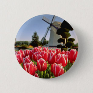 Rote rote Tulpen und Windmühlen-Blumen Button