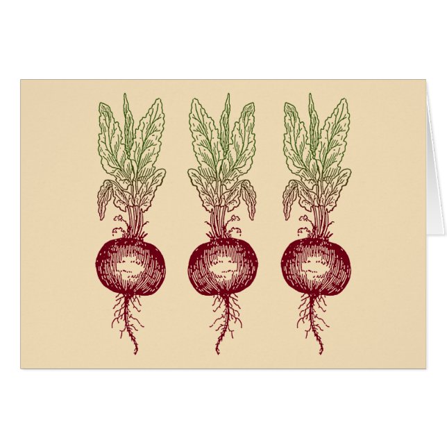 Rote Rübe (Vorderseite (Horizontal))