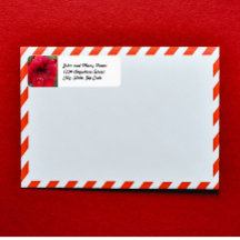 Rote Rücksendeadresse Amaryllis