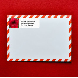 Rote Rücksendeadresse Amaryllis