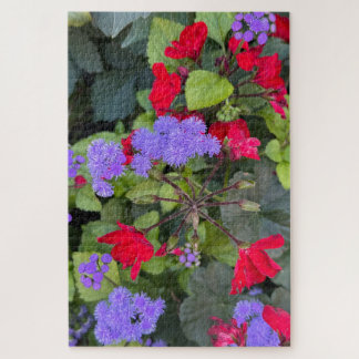 Rote Salvia und lila Ageratum, Quebec City