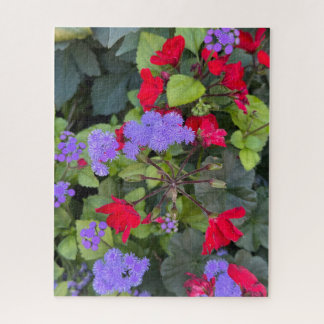 Rote Salvia und lila Ageratum, Quebec City
