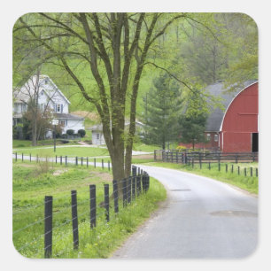 Rote Scheune und Bauernhaus bei Berlin, Ohio. Quadratischer Aufkleber