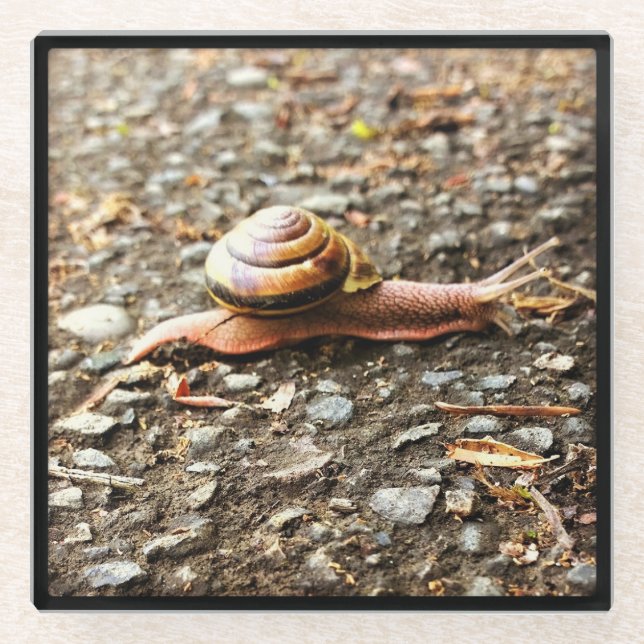 Rote Schnecke am Boden Glasuntersetzer (Vorderseite)