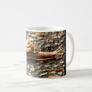 Rote Schnecke am Boden Kaffeetasse