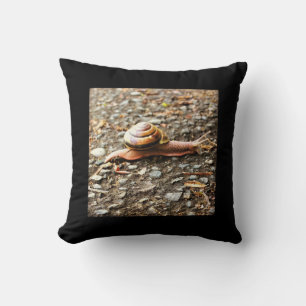 Rote Schnecke am Boden Kissen