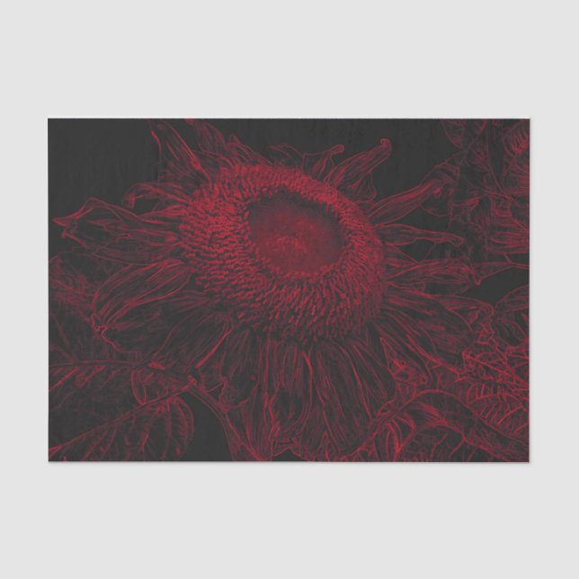Rote Schwarze Blüte Entdeckungsreise zur Sonnenblu Seidenpapier (Vorderseite)