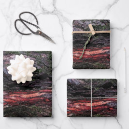 Rote schwarze Holzbäume Geschenkpapier Set