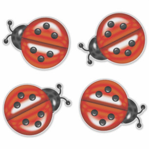 Rote schwarze niedliche Marienkäfer Aufkleber