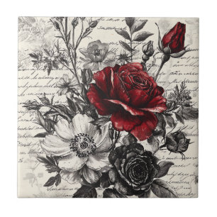 Rote Schwarze Rose Antike Manuskriptblumen Fliese