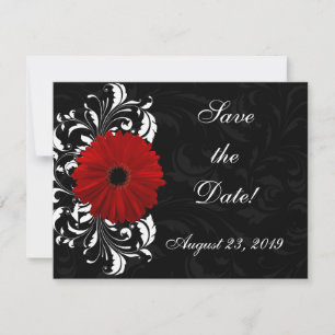 Rote, schwarze und weiße Schriftrolle Gerbera-Dais Save The Date