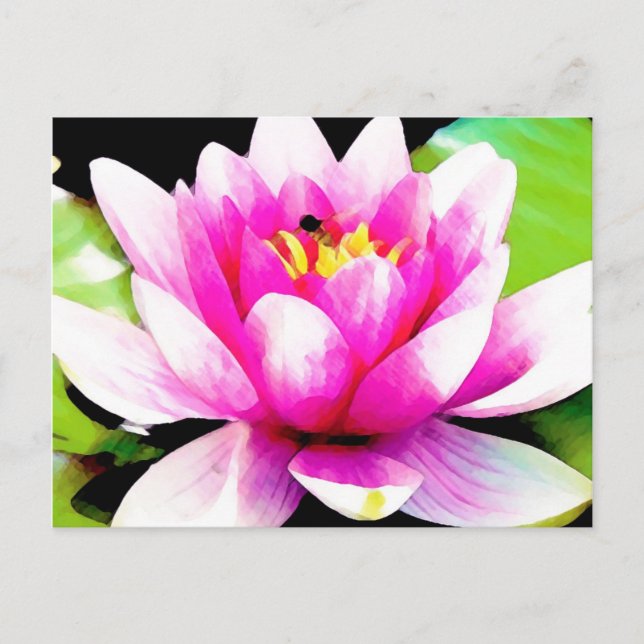 Rote Seerose Postkarte (Vorderseite)