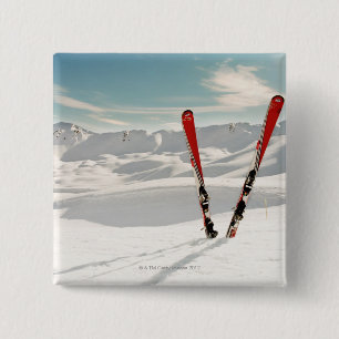 Rote Skis Button