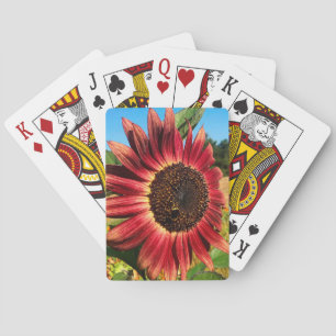 Rote Sonnenblume mit Biene Spielkarten