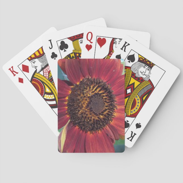 Rote Sonnenblume Spielkarten (Rückseite)