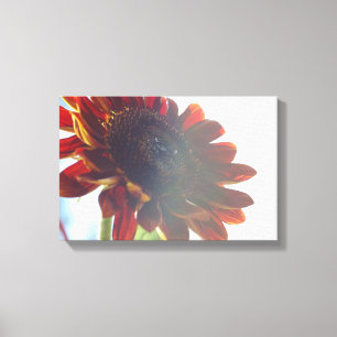 Rote Sonnenblumen Leinwand Art