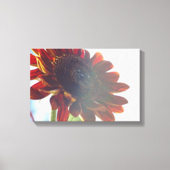 Rote Sonnenblumen Leinwand Art (Vorderseite)