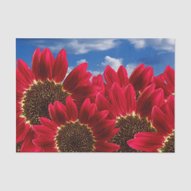 Rote Sonnenblumen und Blauer Himmel - Gewebepapier Seidenpapier (Vorderseite)