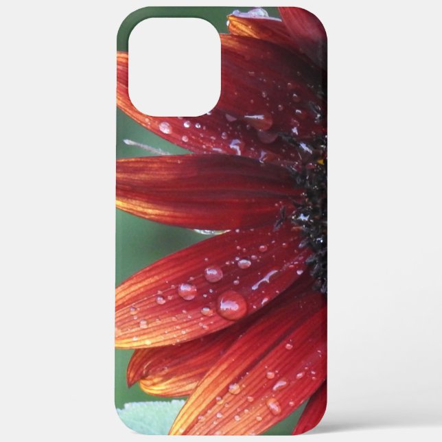 Rote Sonnenblumenblätter und Regenfälle Case-Mate iPhone Hülle (Rückseite)