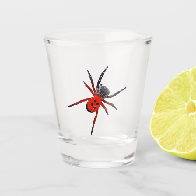 Rote Spinne Schnapsglas (Vorderseite)