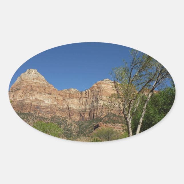 Rote Steine bei der Fotografie des Zion-Nationalpa Ovaler Aufkleber (Vorderseite)