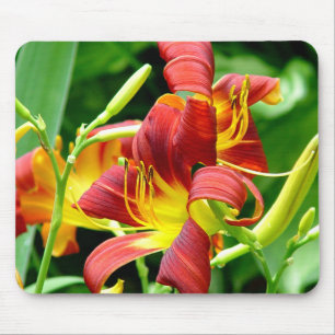 Rote Taglilien Mousepad