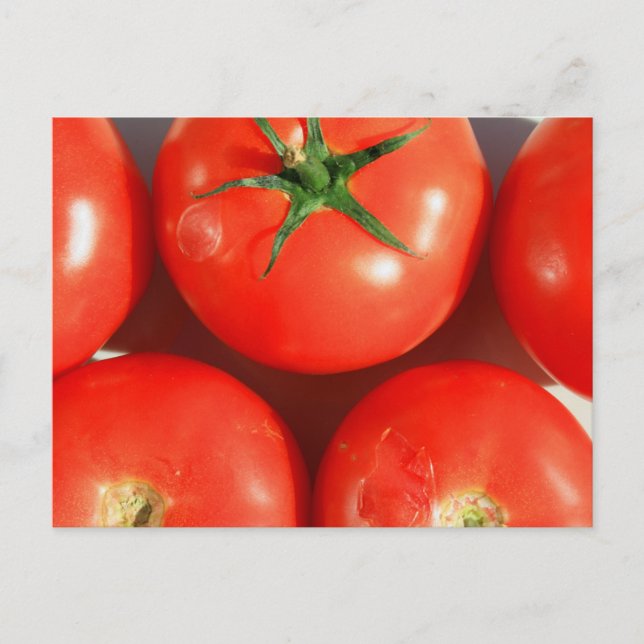 Rote Tomaten Postkarte (Vorderseite)