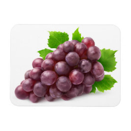 Rote Traube Magnet