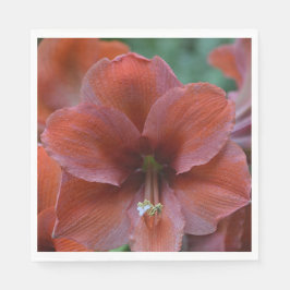 Rote tropische Blume Serviette