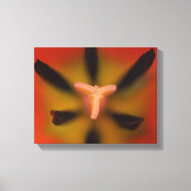 Rote Tulip-Blume Nah Leinwanddruck (Vorderseite)
