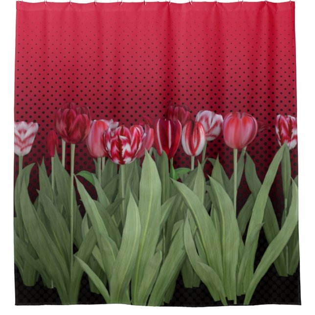 Rote Tulips auf Gradient Duschvorhang (Vorderseite)