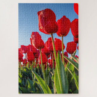 Rote Tulips im Blut