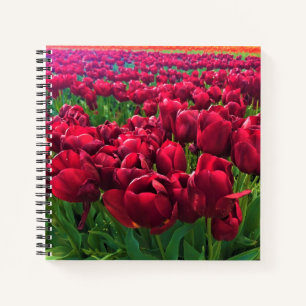Rote Tulips in einem Feld, Oregon Notizbuch