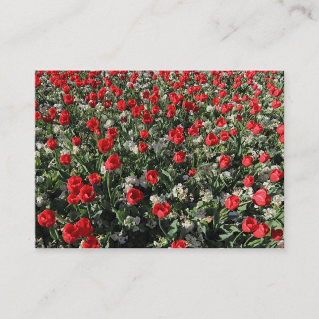 Rote Tulips und Primrosen Visitenkarte (Vorderseite)