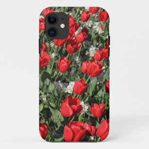 Rote Tulips und weiße Primrosen title_seo2