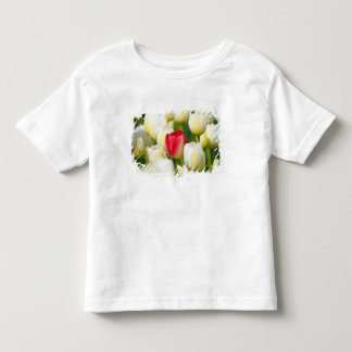 Rote Tulpe auf einem Gebiet der weißen Tulpen Kleinkind T-shirt