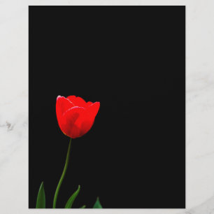 Rote Tulpe auf schwarzem Hintergrund Flyer