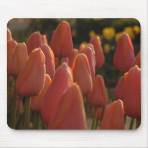 Rote Tulpe Blume Mouse Pad Mousepad